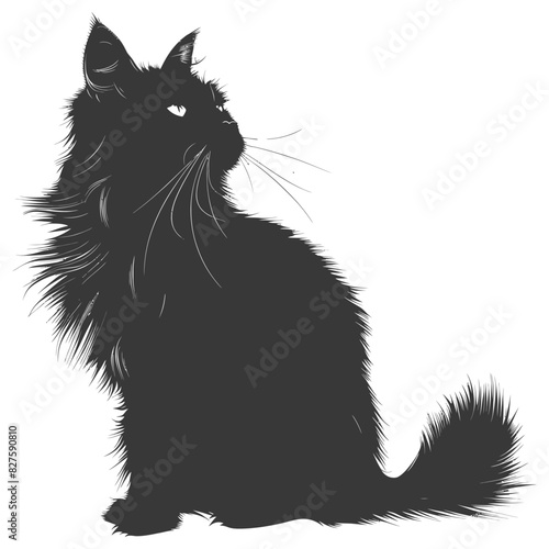 Silhouette long hair cat animal full body black color only
