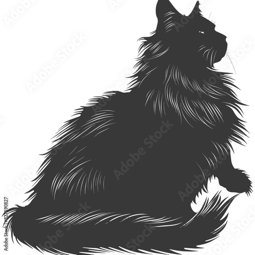 Silhouette long hair cat animal full body black color only