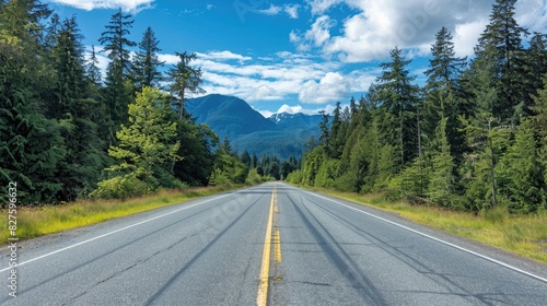 An empty road with pine trees on both sides, in the Pacific Northwest, real photo