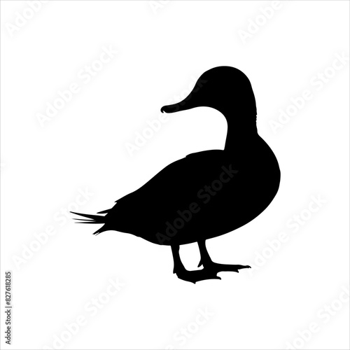 Black gadwall duck silhouette isolated on white background. Duck icon vector illustration design.