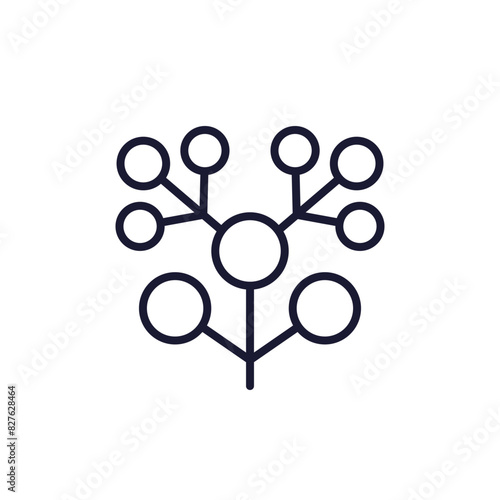 phylogenetic tree line icon on white