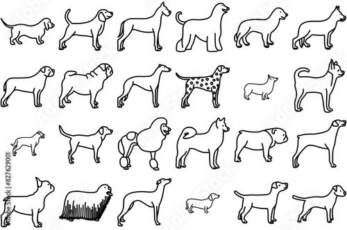 A Collection Of Dogs Icons Collection Isolated Silhouette Solid Icons Including Pet,Family,Border,Animal,Dog Vector Icon Set Linear Pictogram Pack