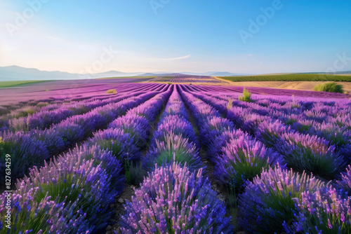 Wallpaper Mural lavender field in region, generative ai Torontodigital.ca