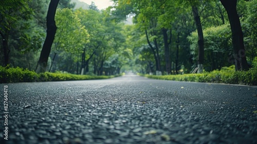 A road with trees on either side and a clear blue sky. The road is empty and the trees are lush and green