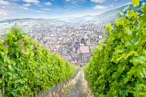 village de Riquewihr dans les vignes, Alsace  photo