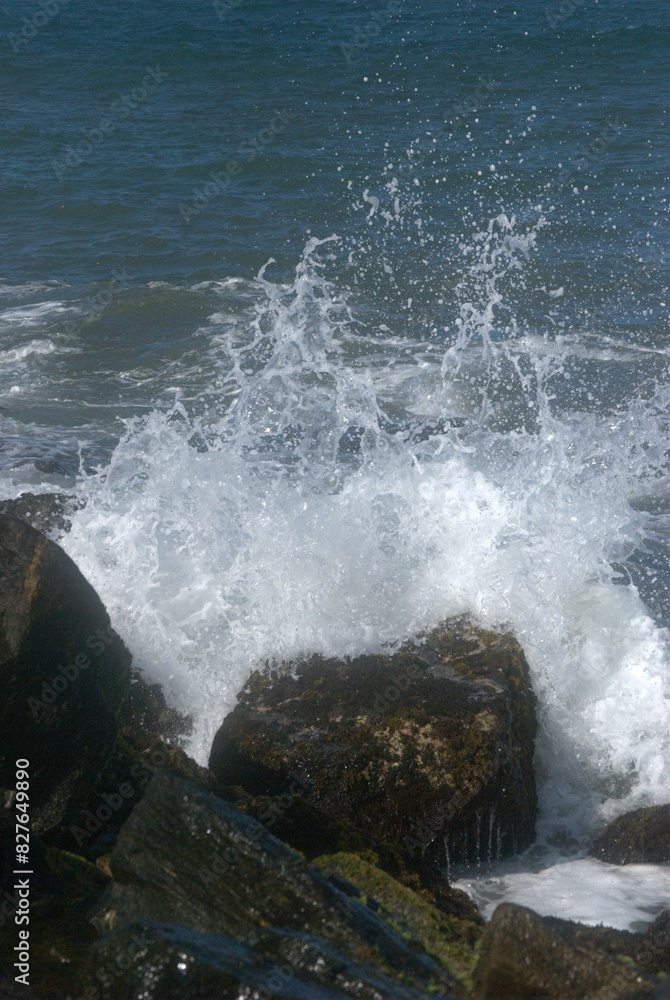 Fototapeta premium El denominador comun de la region es el agua,desde unas playas de colores esmeralda hasta los numerosos rios de agua dulce.