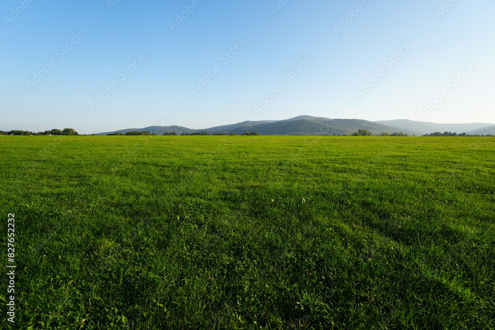 Grassland of airfield and Silesian Beskids in Bielsko-Biala city in Poland Grassland of airfield and Silesian Beskids in Bielsko-Biala city in Poland