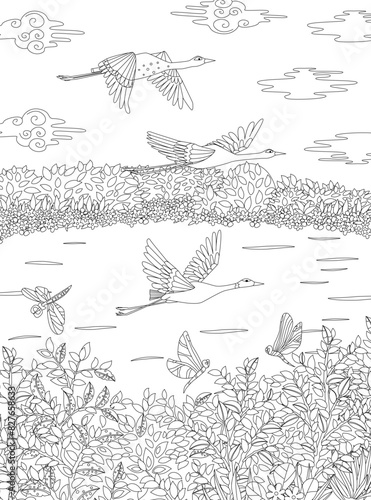 coloring book page for adults and children. cloudy landscape wit © Aloksa
