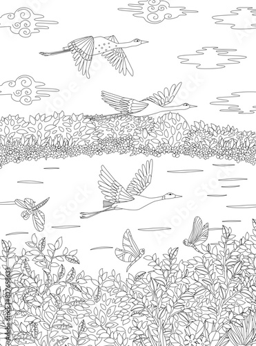 coloring book page for adults and children. cloudy landscape wit