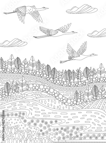 coloring book page for adults and children. cloudy rural landsca © Aloksa