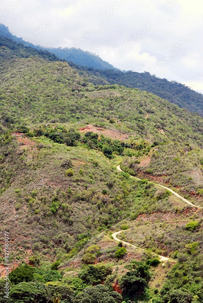 Una region donde el verde en montañas y arboles es mayoria,combinado con el maravilloso azul del cielo. Una region donde el verde en montañas y arboles es mayoria,combinado con el maravilloso azul del cielo.
