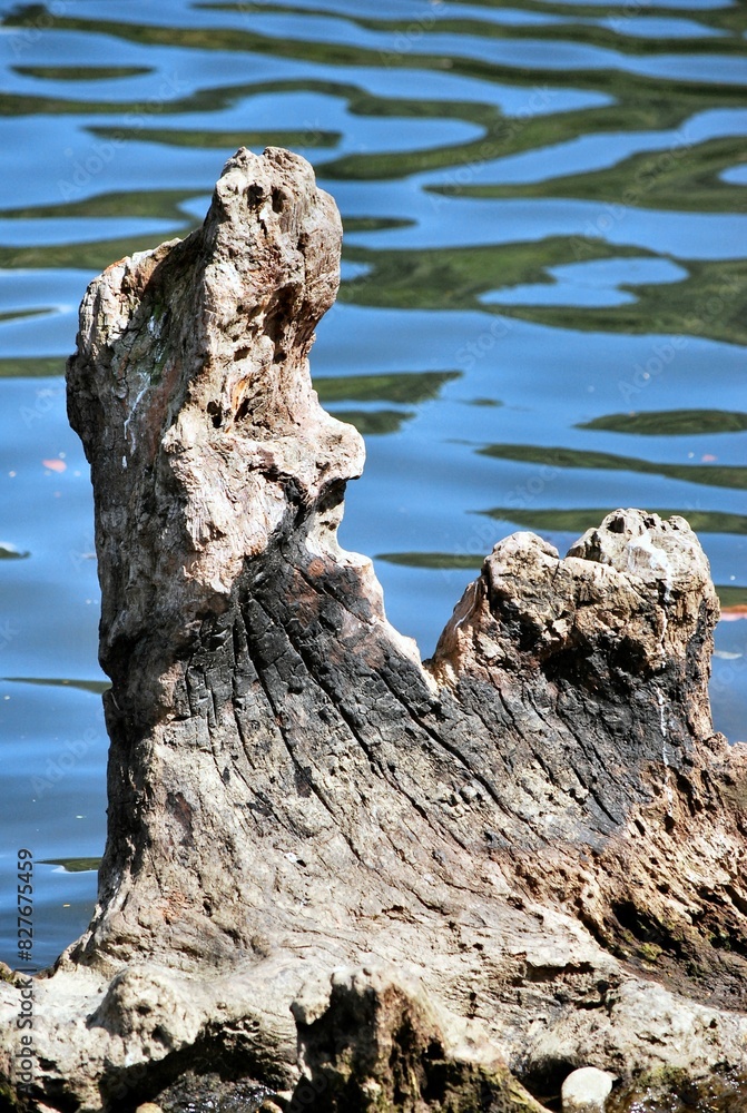 Fondos y texturas,basta mirar a nuestro alrededor y podemos encontrar imagenes que solo un ojo entrenado como el de un fotografo puede Fondos y texturas,basta mirar a nuestro alrededor y podemos encontrar imagenes que solo un ojo entrenado como el de un fotografo puede