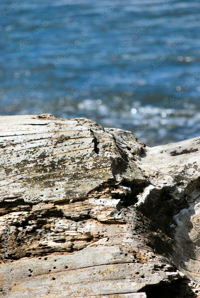 Fondos y texturas,basta mirar a nuestro alrededor y podemos encontrar imagenes que solo un ojo entrenado como el de un fotografo puede Fondos y texturas,basta mirar a nuestro alrededor y podemos encontrar imagenes que solo un ojo entrenado como el de un fotografo puede