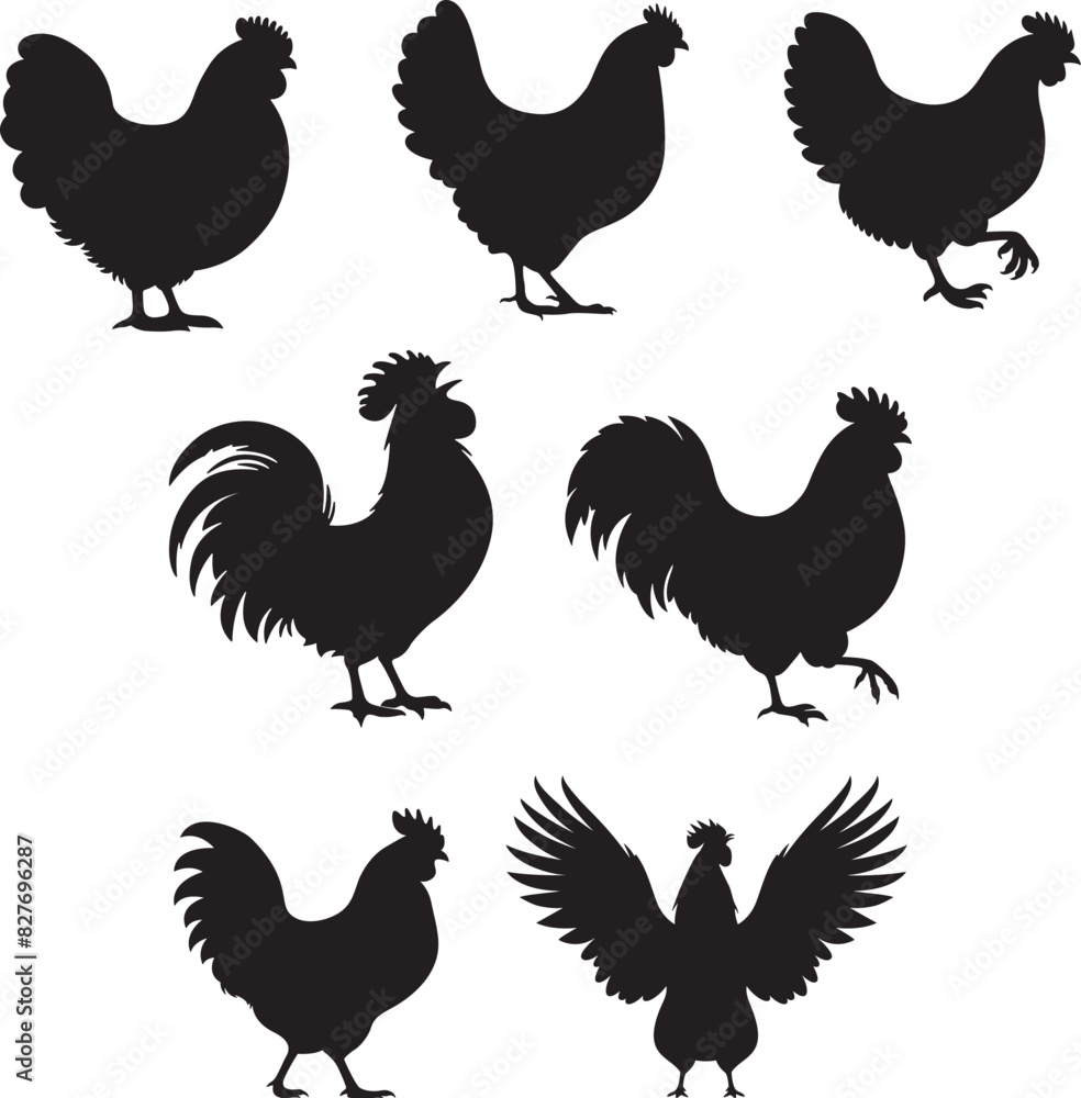 Fototapeta premium Chicken silhouette on a white background