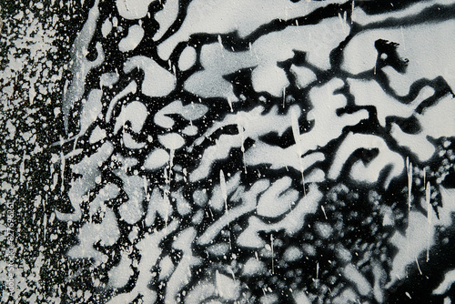 Photography A black and white photo of a tree with white paint splatters on it