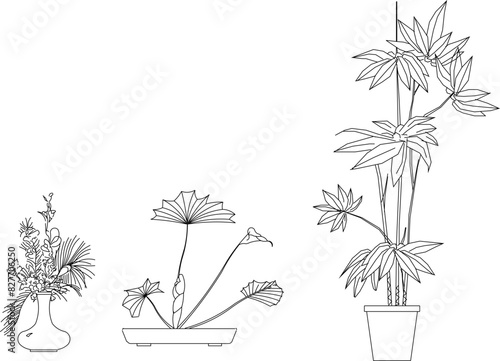 Artistic tree plant design drawing vector illustration sketch for completeness of the image