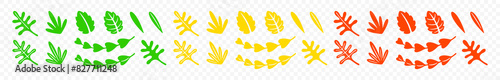 Set of summer and autumn leaves, graphic design. Leaf, plant, nature, foliage and flora, vector design and illustration