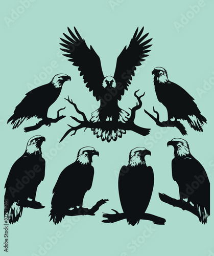 Eagle Birds 