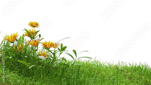 footage of grass with flowers animation with alpha, 3d illustration rendering