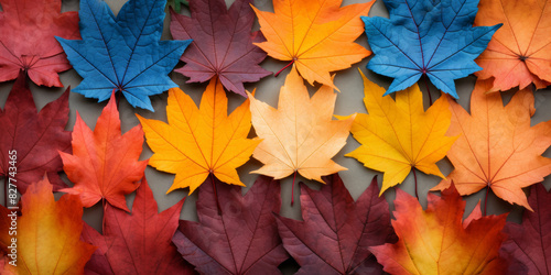 Colorful Autumn Maple Leaves Arranged in a Pattern for Seasonal Background