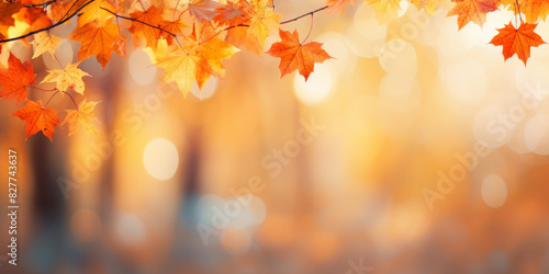 Golden Autumn Leaves on a Branch with a Bokeh Background in a Sunlit Forest