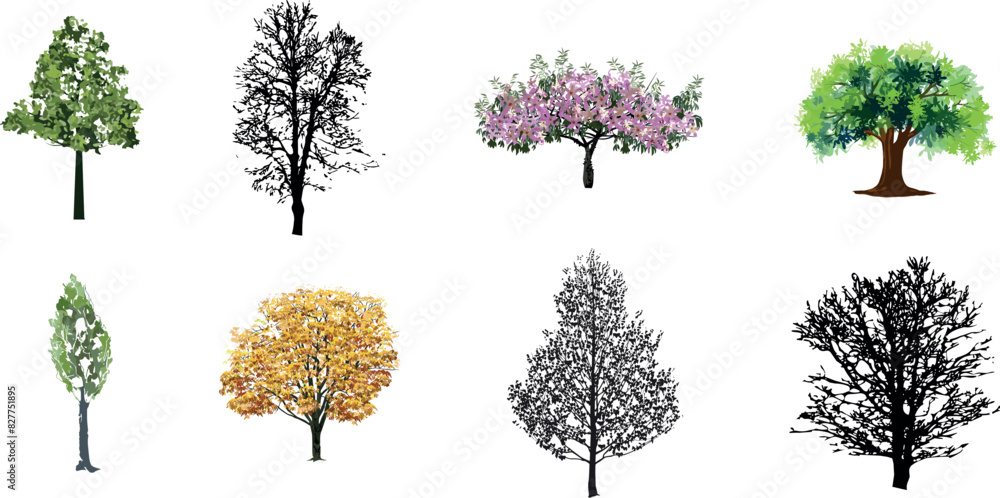 trees set watercolor illustration, hand drawn for architecture or decorative