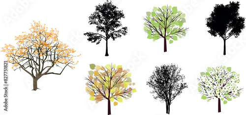 trees set watercolor illustration  hand drawn for architecture or decorative