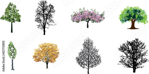 Obraz na plátně trees set watercolor illustration, hand drawn for architecture or decorative