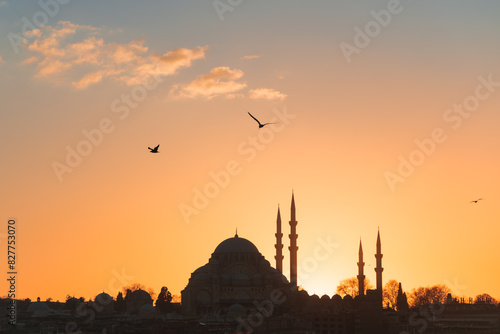 Istanbul, Turkey. Suleymaniye Mosque against the pink sky at sunset. photo