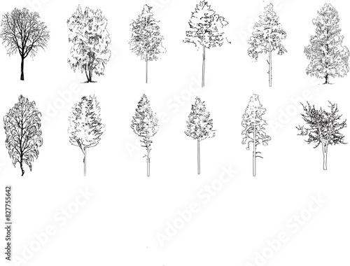 Minimal style cad tree line drawing, Side view, set of graphics trees elements outline symbol for architecture and landscape design drawing
