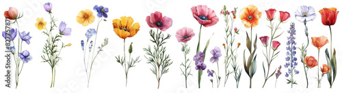 Wallpaper Mural Set of beautiful flower ,Watercolor collection of hand drawn flowers , Botanical plant illustration transparent background, PNG Torontodigital.ca