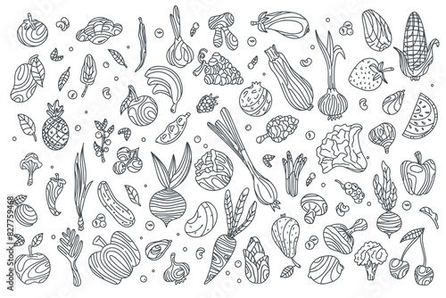 Set of doodle vegetables and fruits on white background, Vector graphics of healthy food. Fruits and vegetables in doodle style, sketch. Illustration for food design. Vegan products