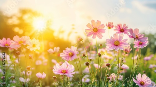 green grass dotted with pink daisies