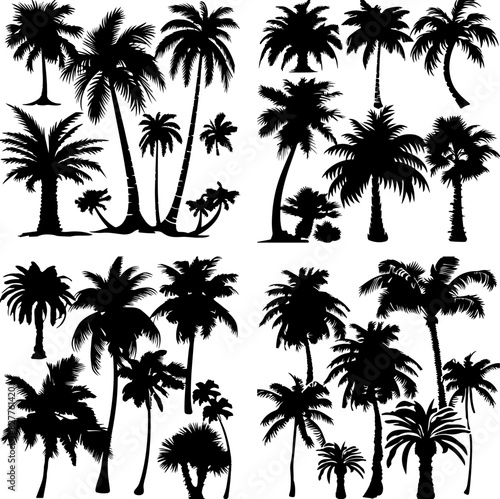 palm pine tree silhouette black set tropics hawaii graphic paradise outline contour jungle africa climate clip art monochrome single figure growth stem border group oak print rainforest gardening © shabanashoukat49