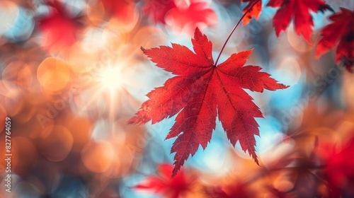  A red maple leaf suspended from a branch against a backdrop of indistinct red leaves and a blue sky, illuminated by white, yellow, red, and orange lights
