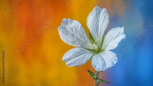  A white flower against a multicolored backdrop, featuring two green stems – one at the flower's center and another in the center of the backdrop