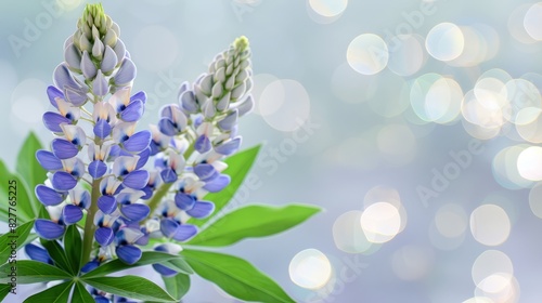  A bunch of blue and white flowers with green leaves on a blue and white background