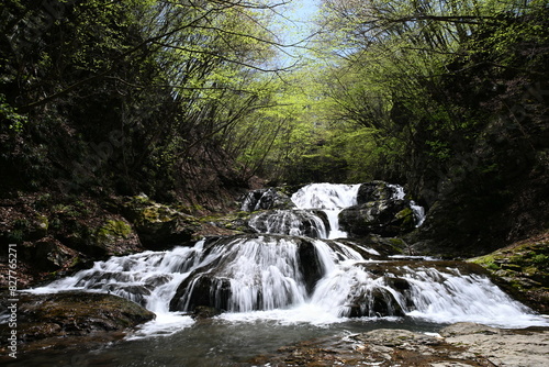 新緑の魚止めの滝 photo