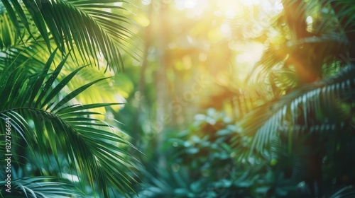  The sun shines through palm leaves in a tropical forest  teeming with green foliage In the foreground  a blurry image emerges