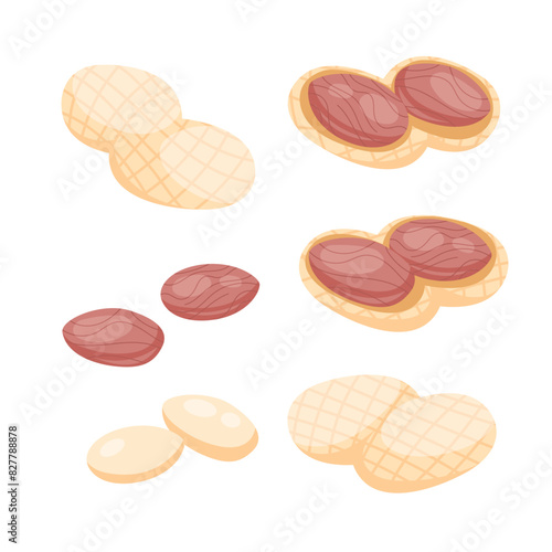 Peanut snack food set. Half and nuts peanut. Whole and peeled peanuts.