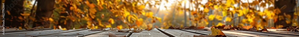 Wooden table in the autumn park. Selective focus. Wooden table in the autumn park. Selective focus.