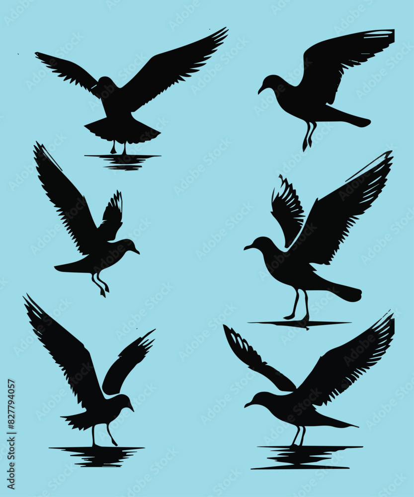 Fototapeta premium Seagulls silhouettes Vector Design
