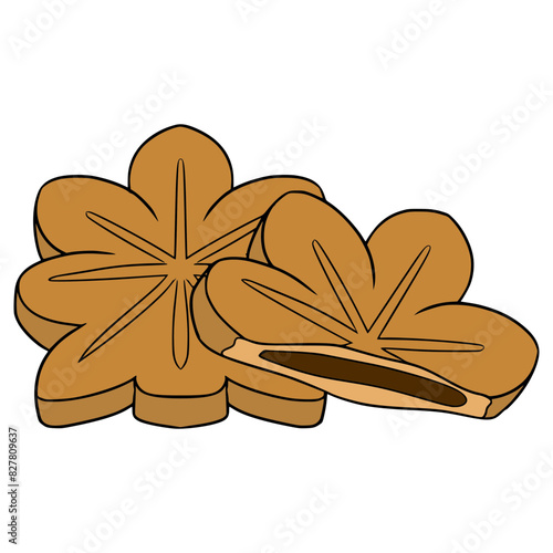 Momiji Manju illustration hand drawn isolated vector	
