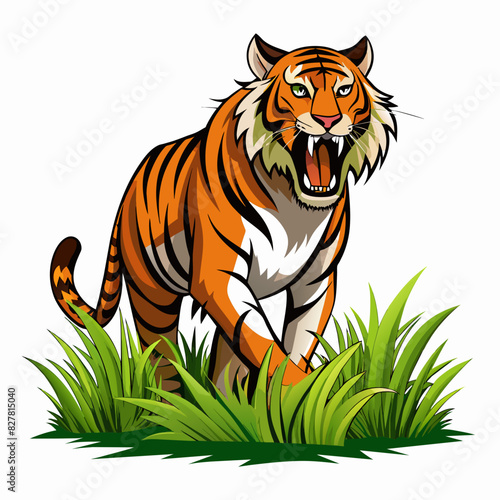 realistic-tiger-roaring-in-grass-isolated