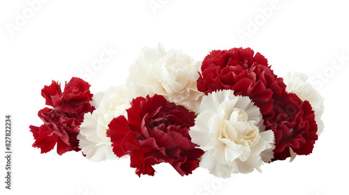 Elegant Arrangement of Red and White Carnation Flowers isolated on transparent background
