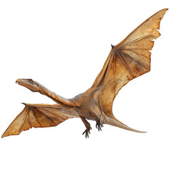 flying dinosaur isolated on transparent background ,pterodactyl png ,generative ai