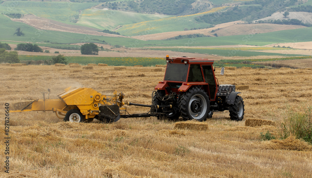 Obraz premium Baling stubble for animal feed after harvest in a wheat field