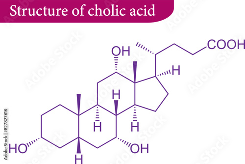 Vector illustration of Structure of cholic acid
 photo