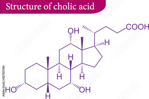 Vector illustration of Structure of cholic acid
