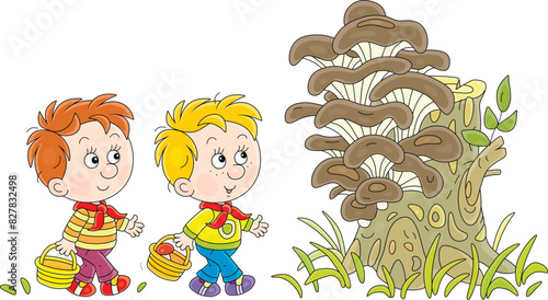 Funny little boys mushroomers with their small baskets found huge oyster mushrooms on an old tree stamp on a glade in a summer forest, vector cartoon illustration on a white background
